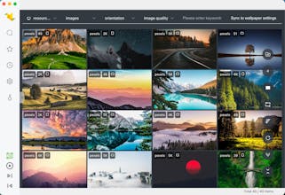 Flying Bird Wallpaper gallery image