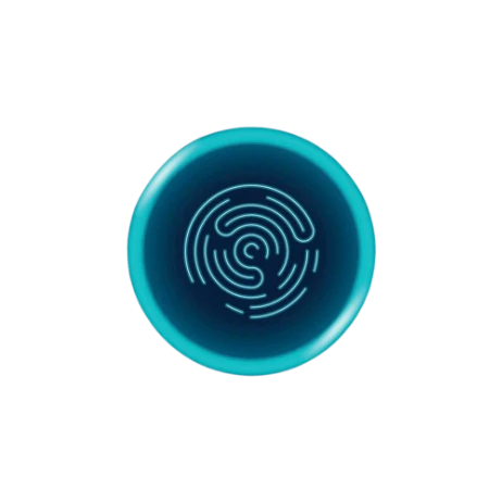 WebShield.AI logo