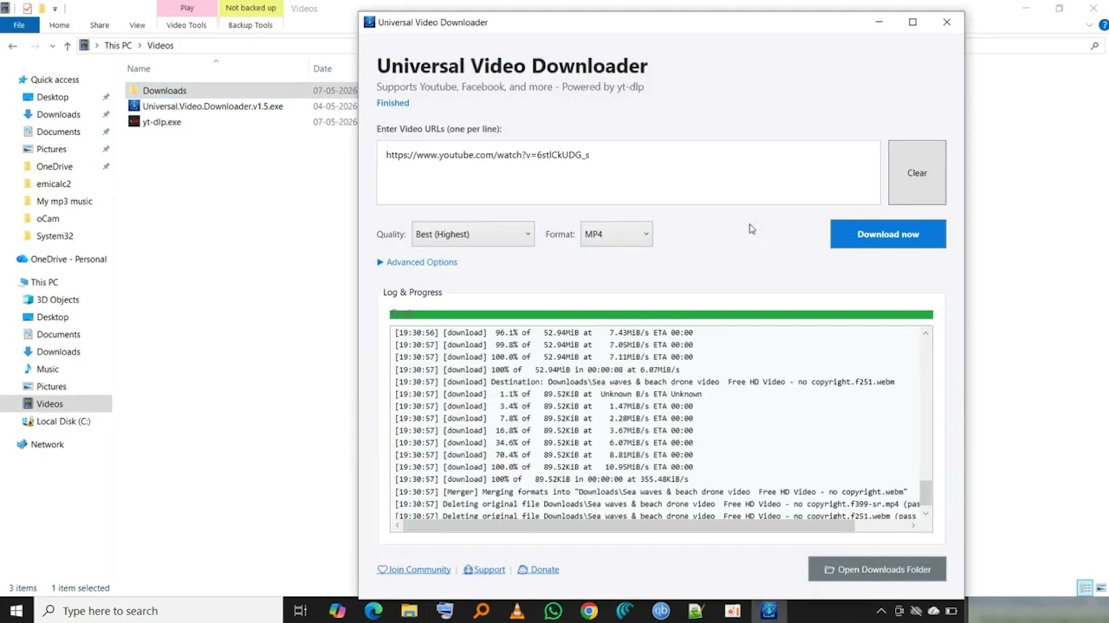 Universal Video Downloader screenshot 1 (video preview)
