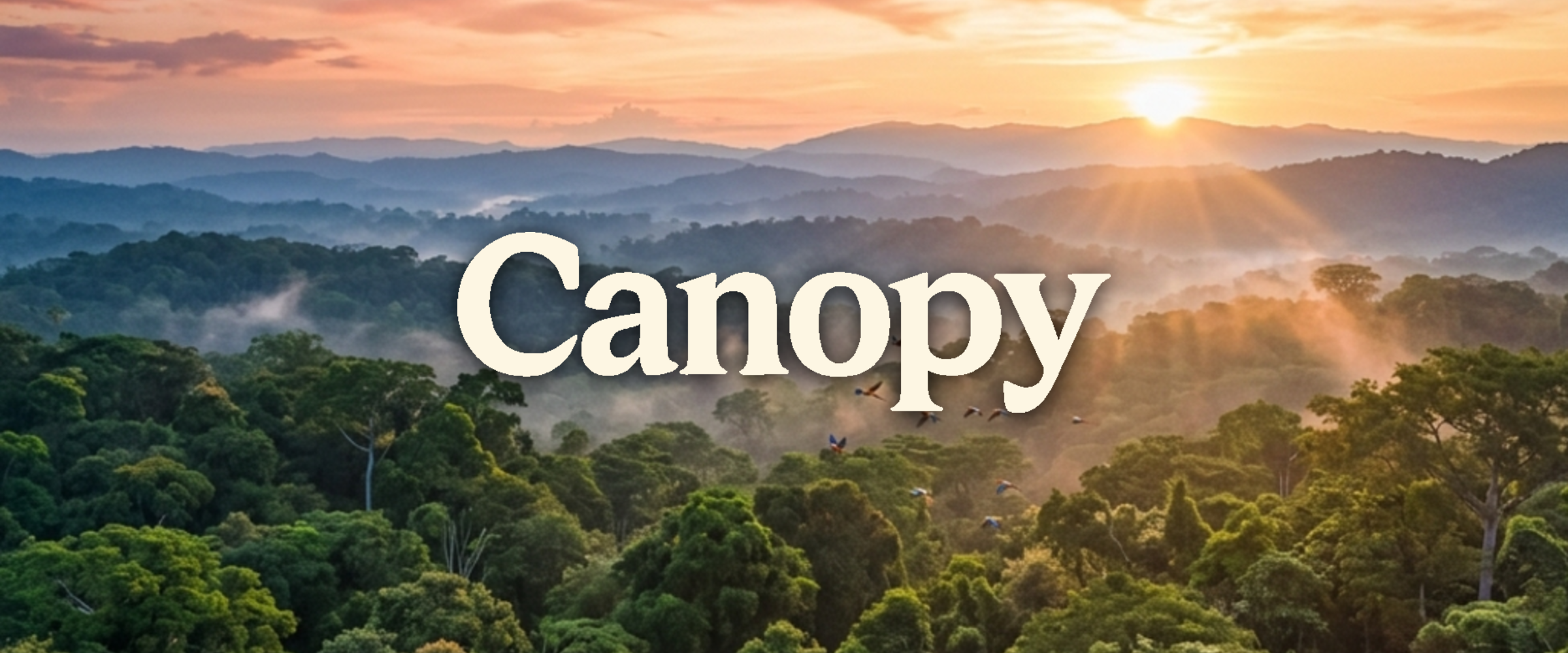 Canopy