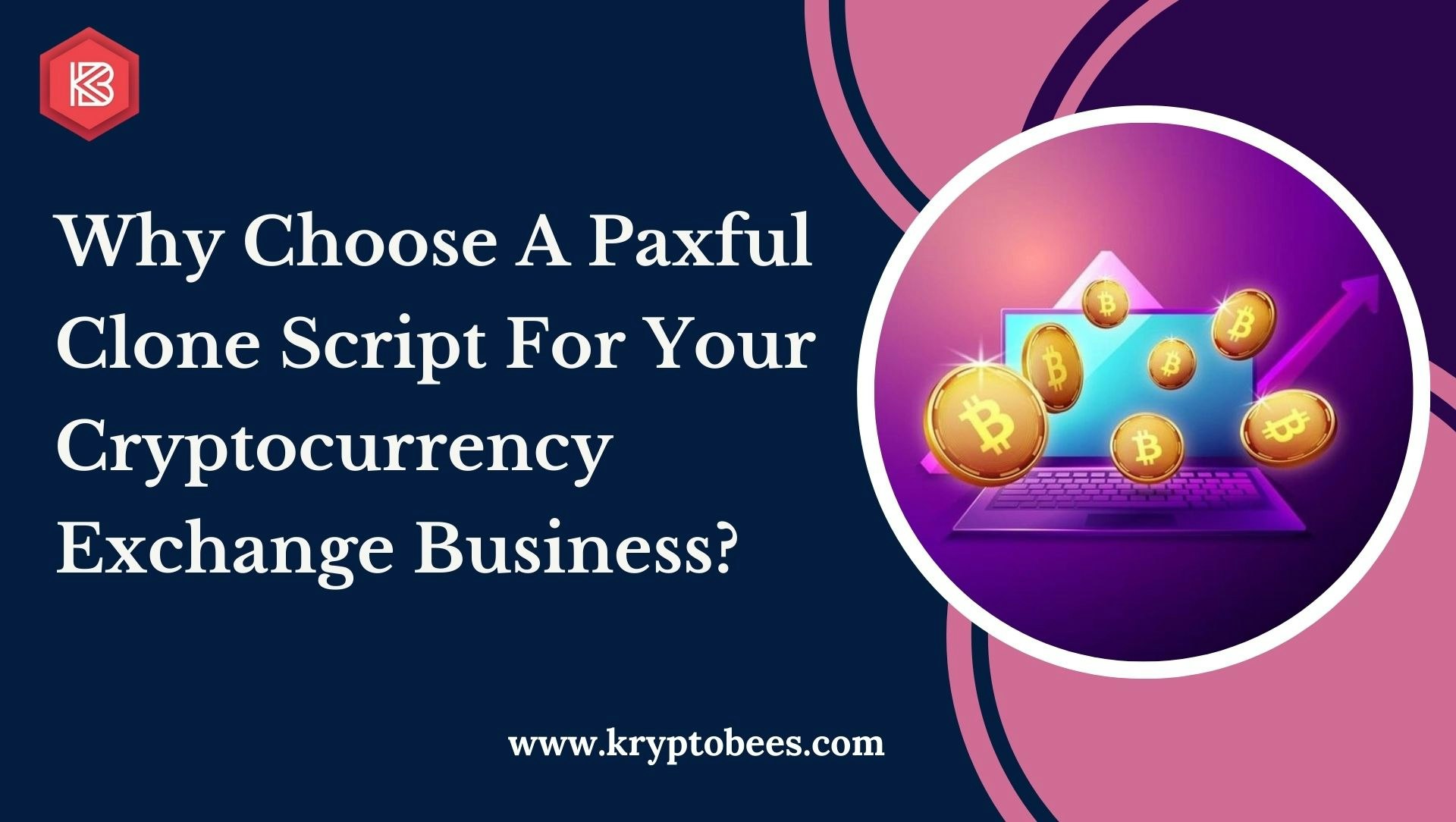 Paxful Clone Script gallery image