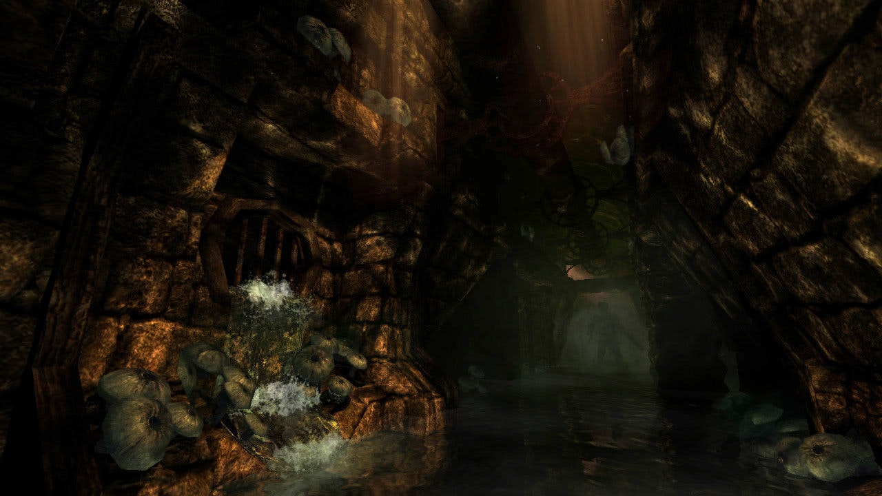 Amnesia: The Dark Descent gallery image