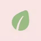 bloom 截图 2