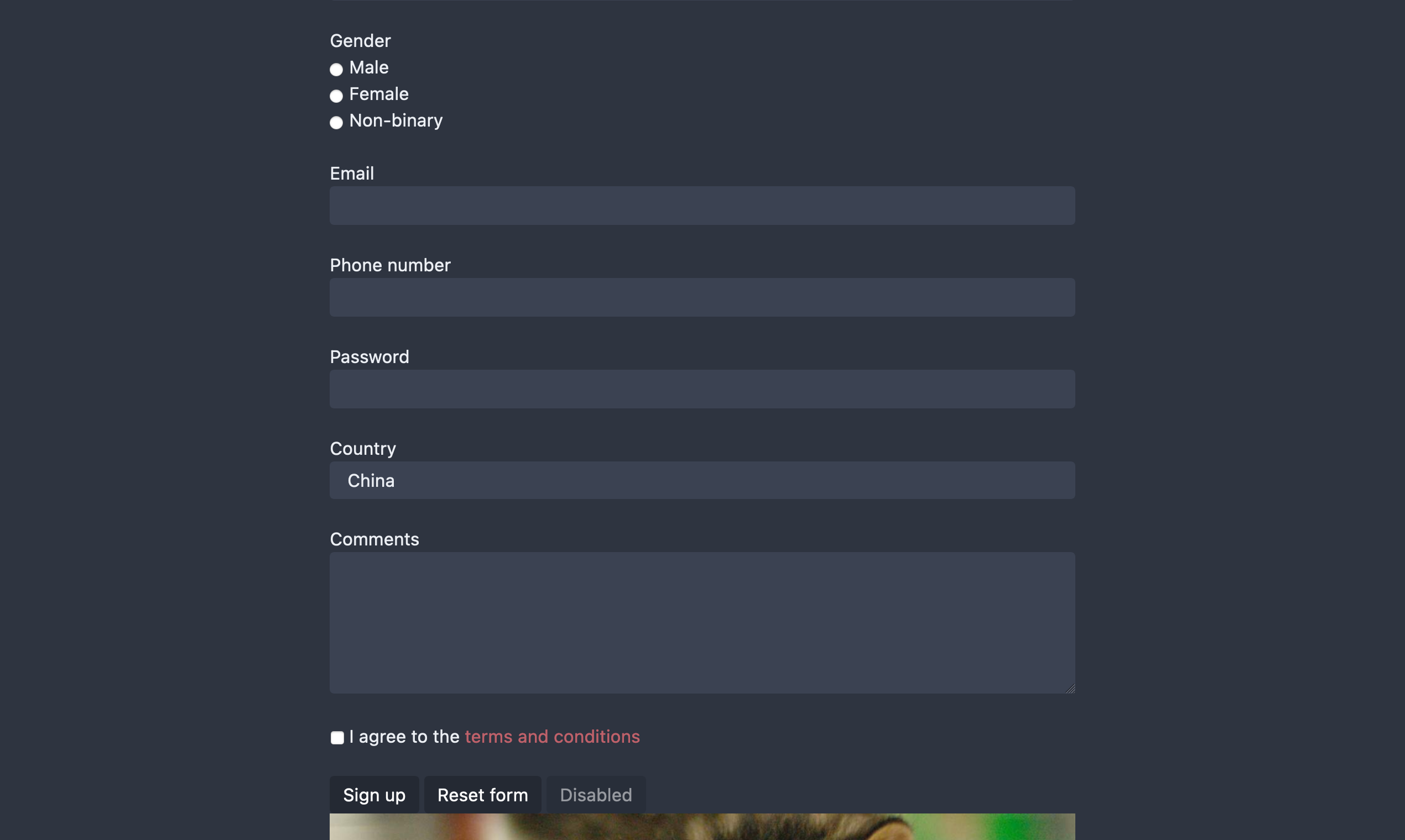 Bamboo CSS gallery image