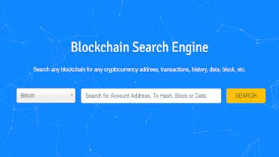 BlockSearchEngine : Blockchain Explorer - Blockchain Search Engine gallery image