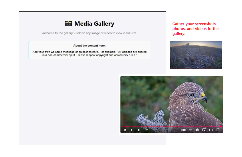 Æapp - Screenshot 3 showing product features and functionality