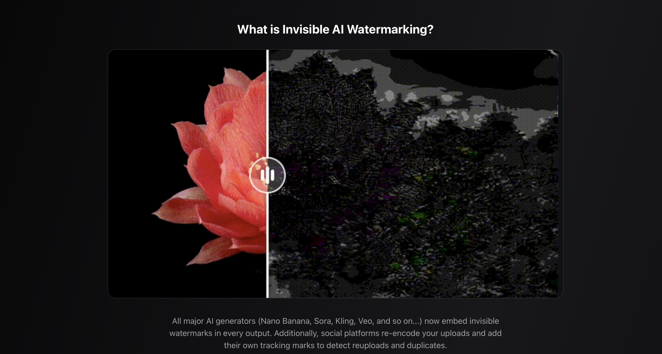 Invisible AI Watermark Remover gallery image