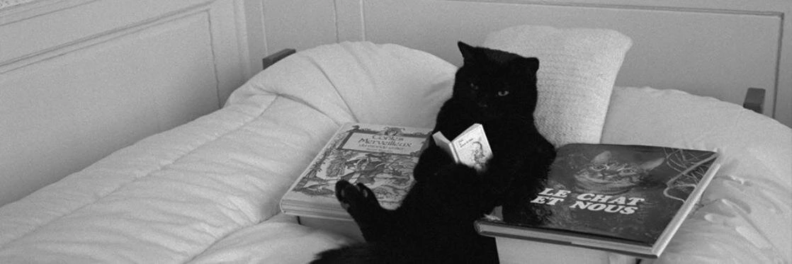 Kristina Budelis cover