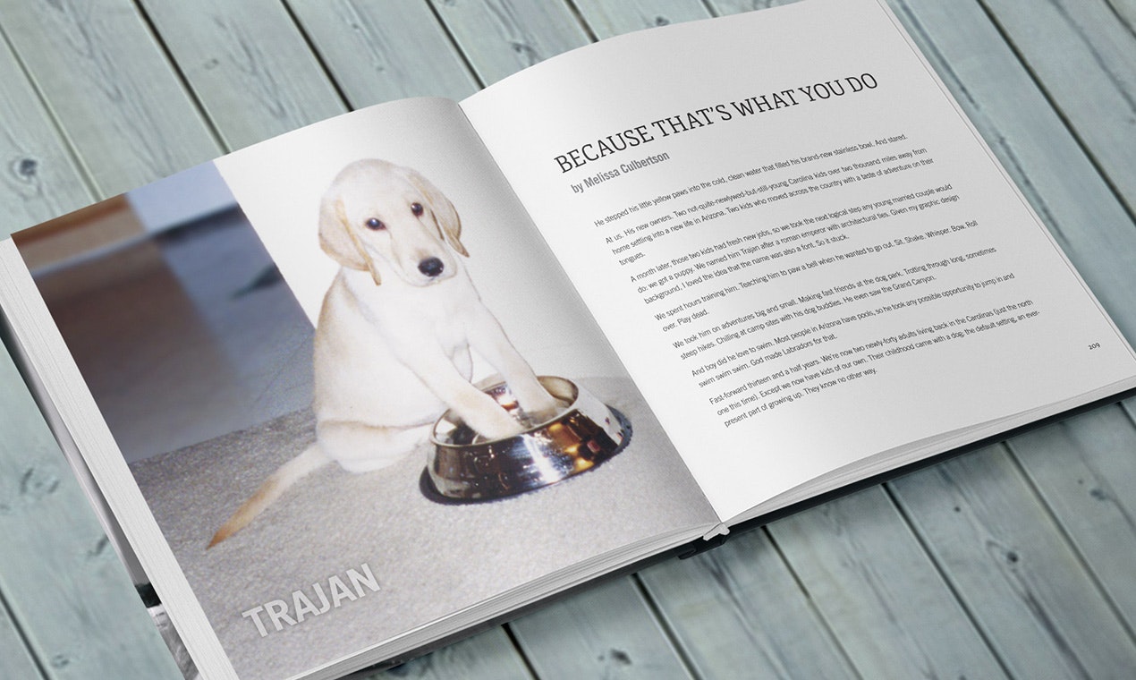 Gone Dogs gallery image