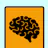 Memory Flashcards