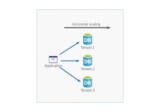 Build Enterprise Apps with Multitenancy gallery image