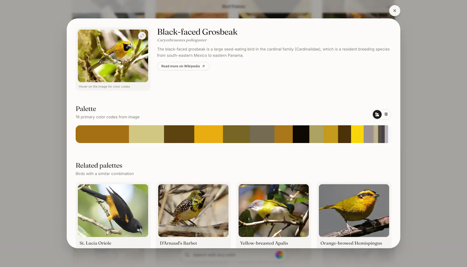 Bird Palette screenshot 4