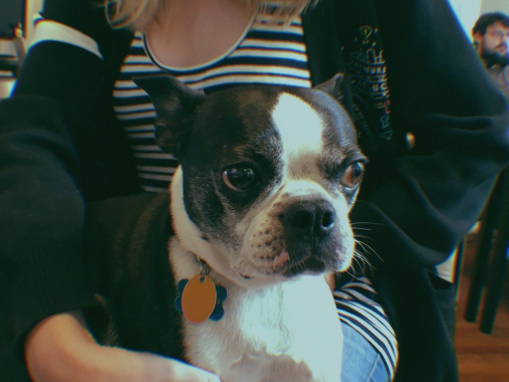 Gudak Cam gallery image