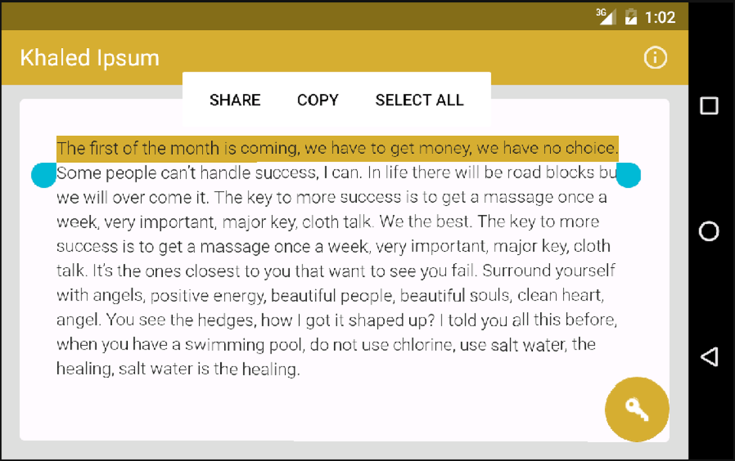 Khaled Ipsum gallery image