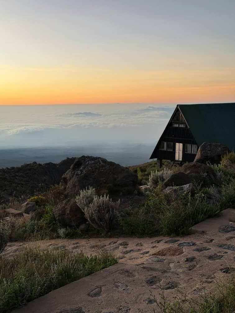 Africantrust Safari gallery image