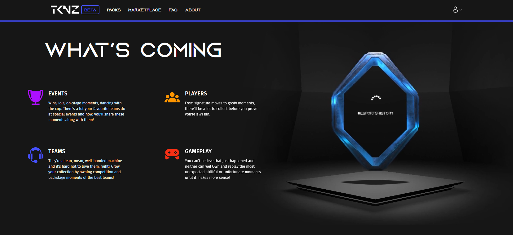 TKNZ.gg gallery image