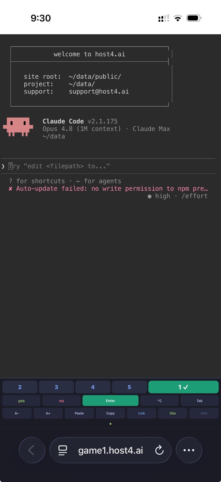 host4.ai gallery image