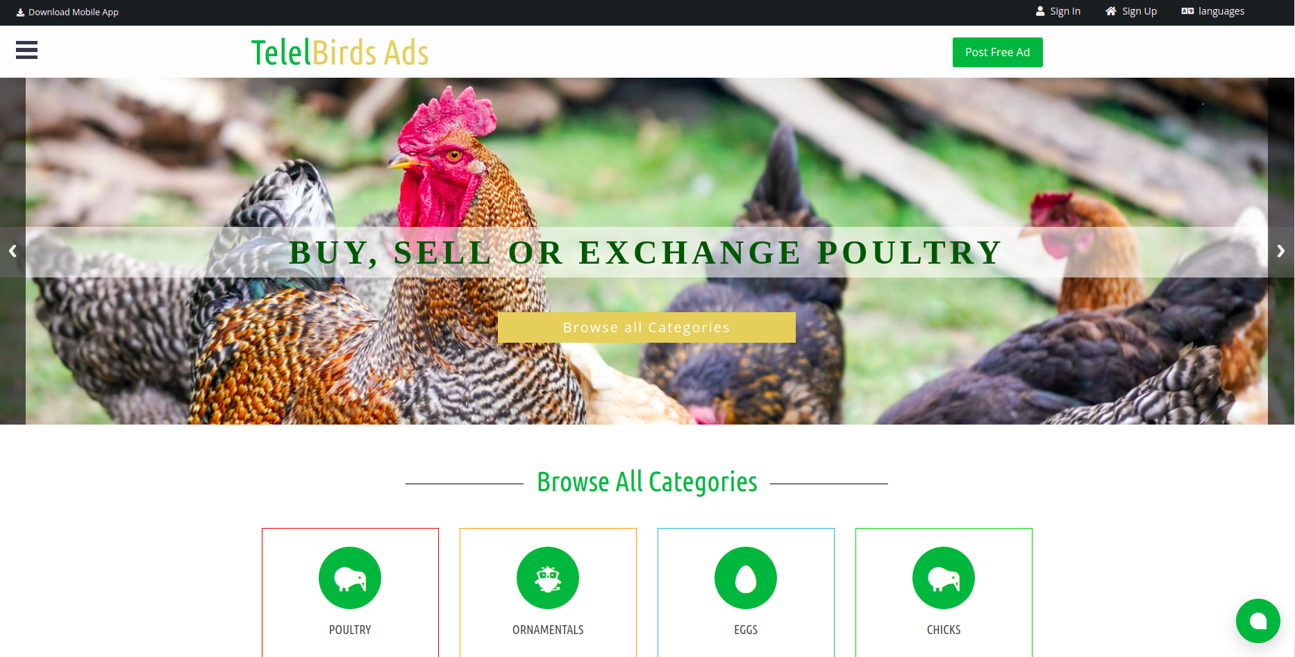 TelelBirds gallery image