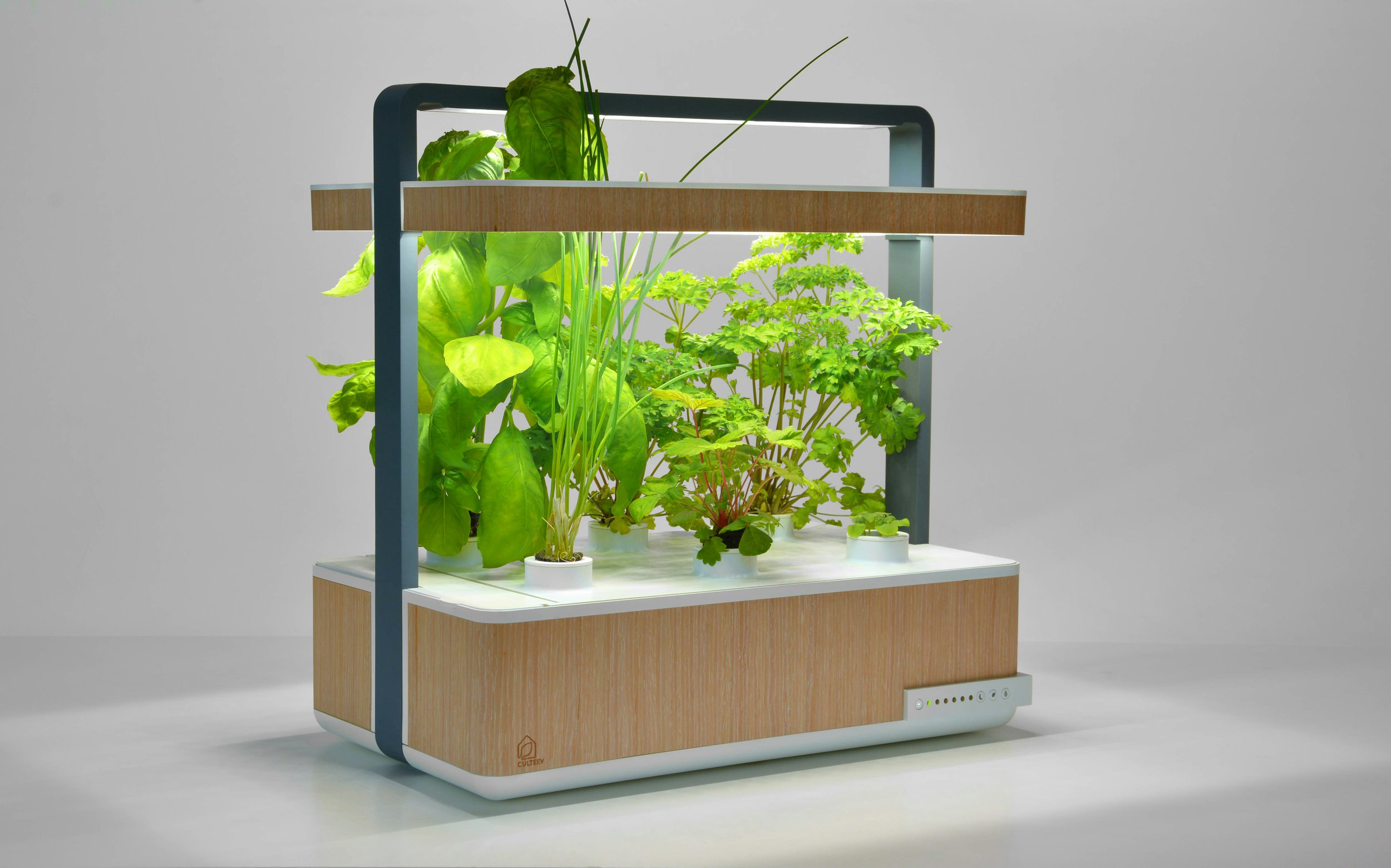 Culteev gallery image