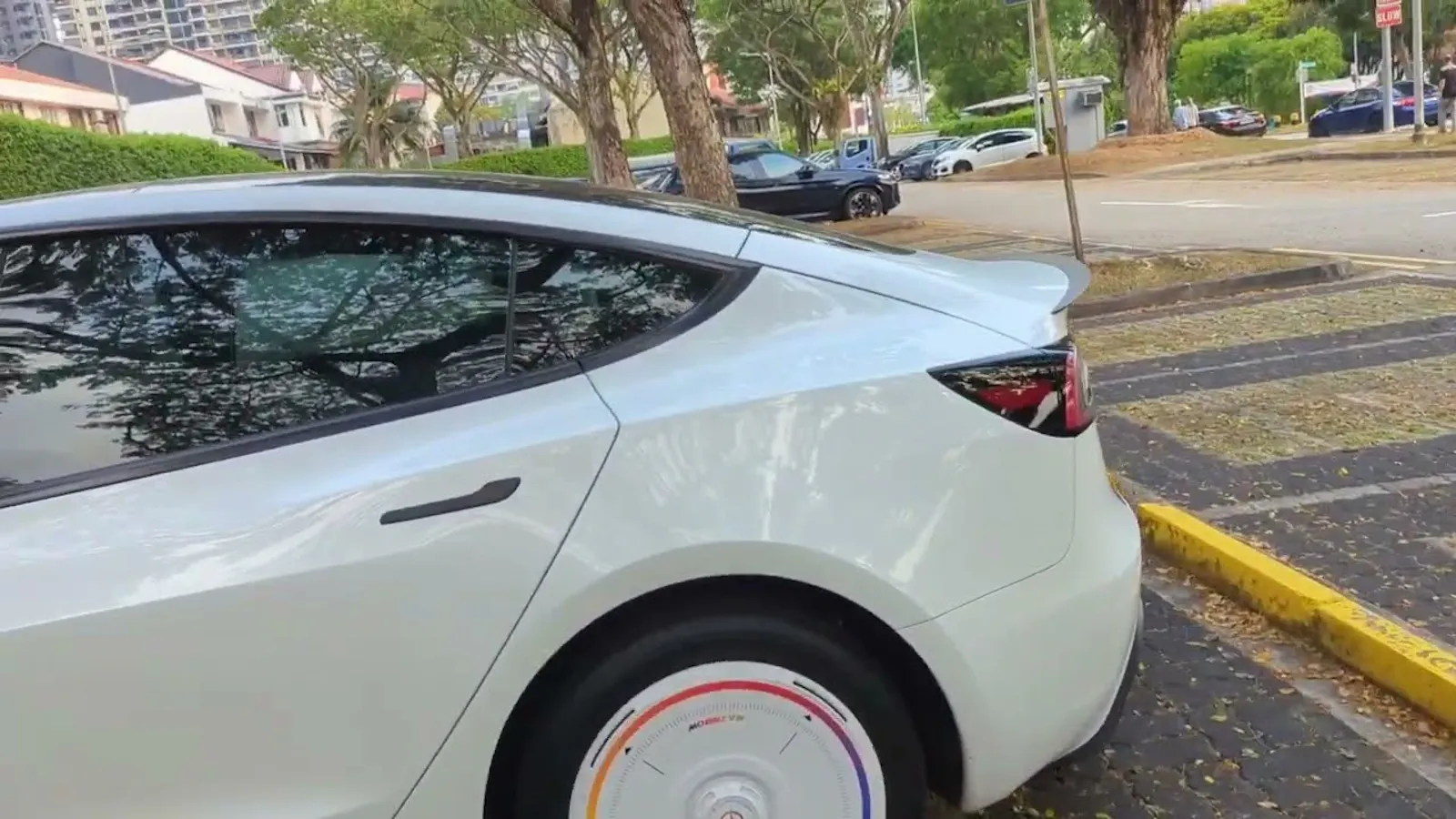 SentryAlert for Tesla screenshot 1 (video preview)