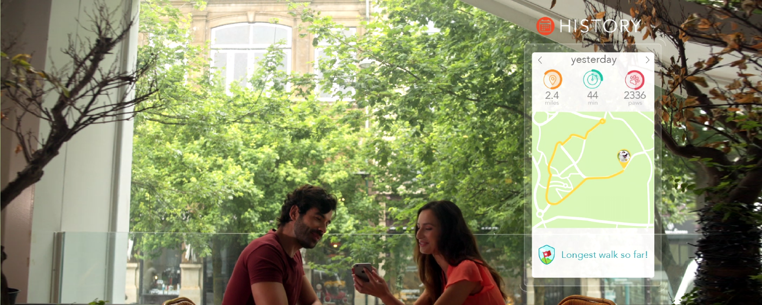 Findster Duo gallery image