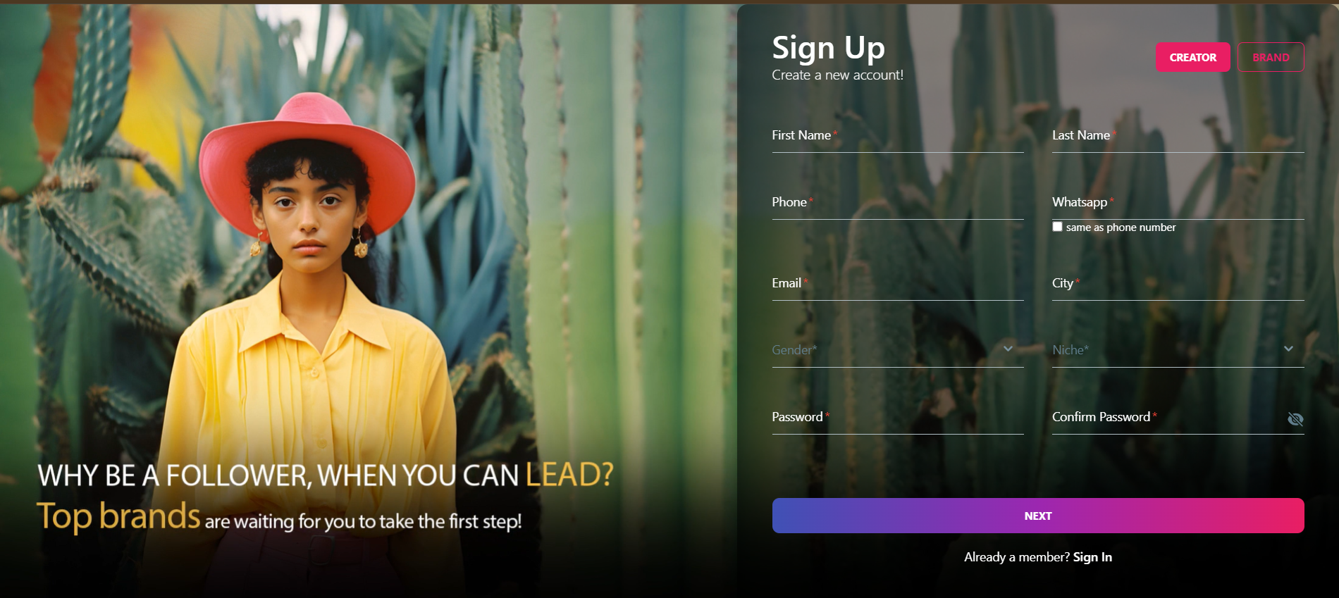 Média Sociocreat - Connectez-vous, collaborez et lancez avec des créateurs de 200K 1