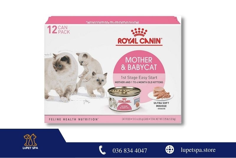 Nourriture pour les nouveaux chats mère media 1