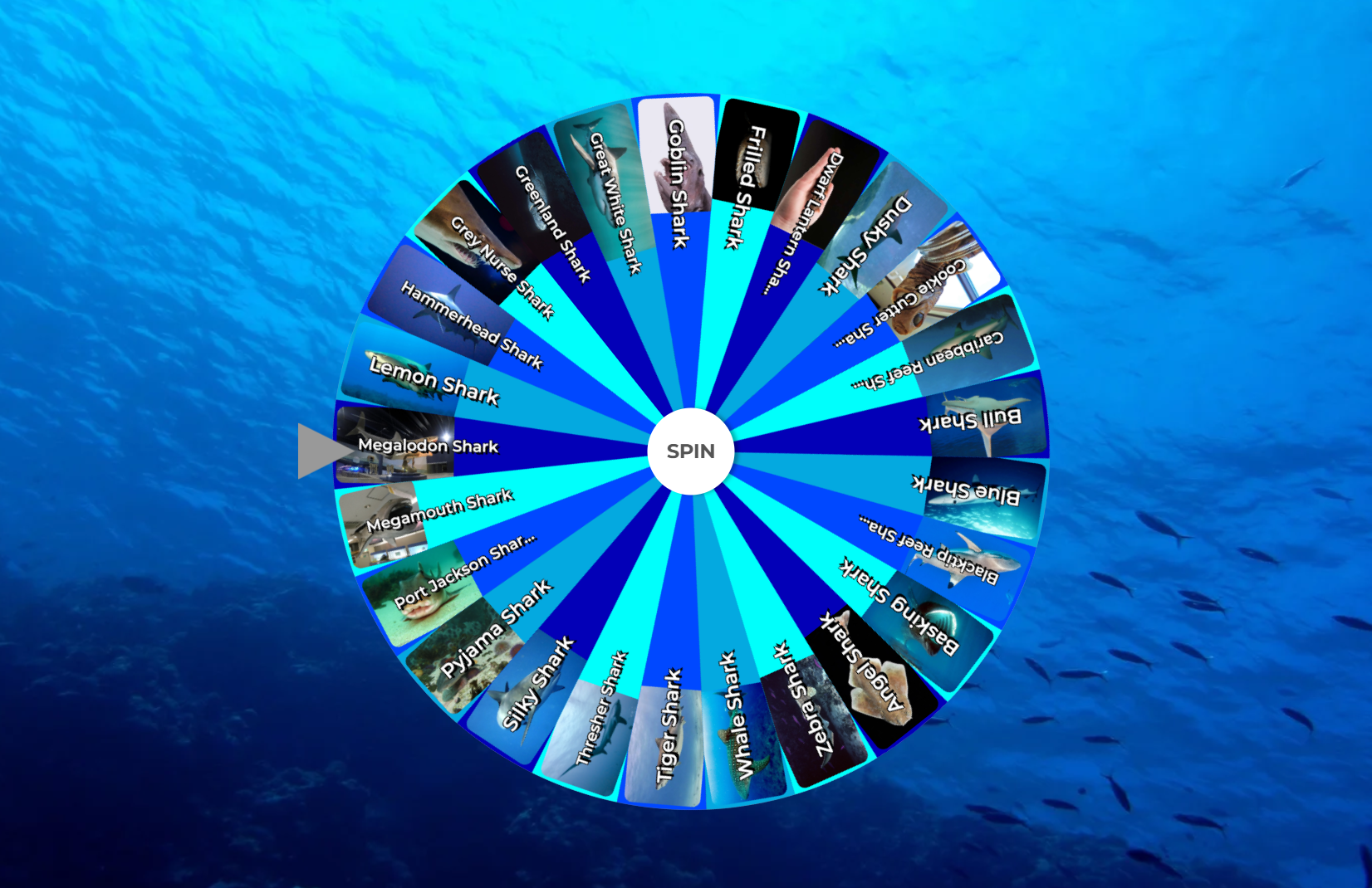 Giro de la rueda al azar - Rueda de los nombres Spinner y Name Random Picker media 28
