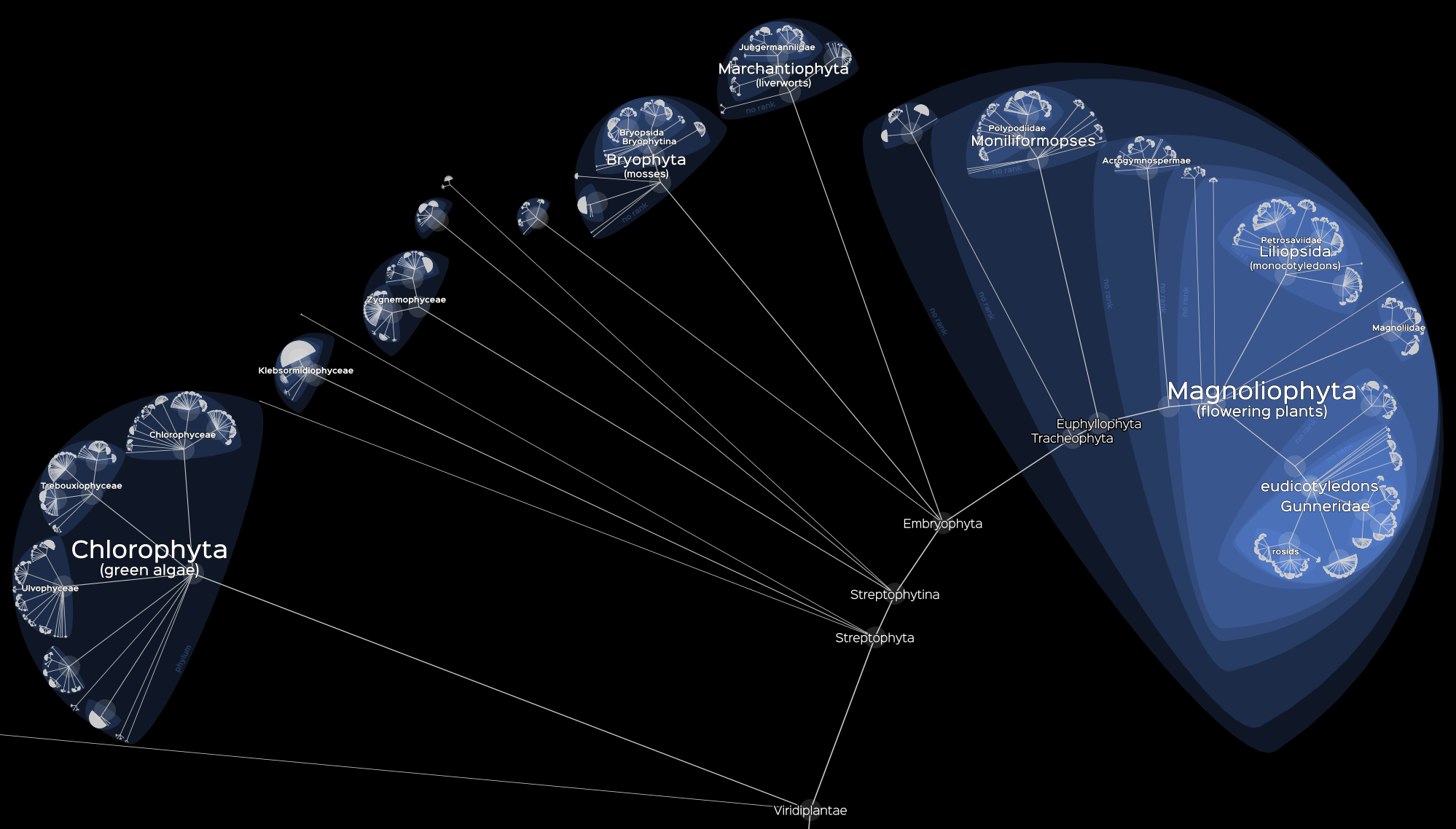 Lifemap - Tree of Life gallery image
