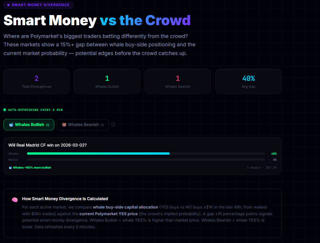 Polymarket Whale Tracker gallery image