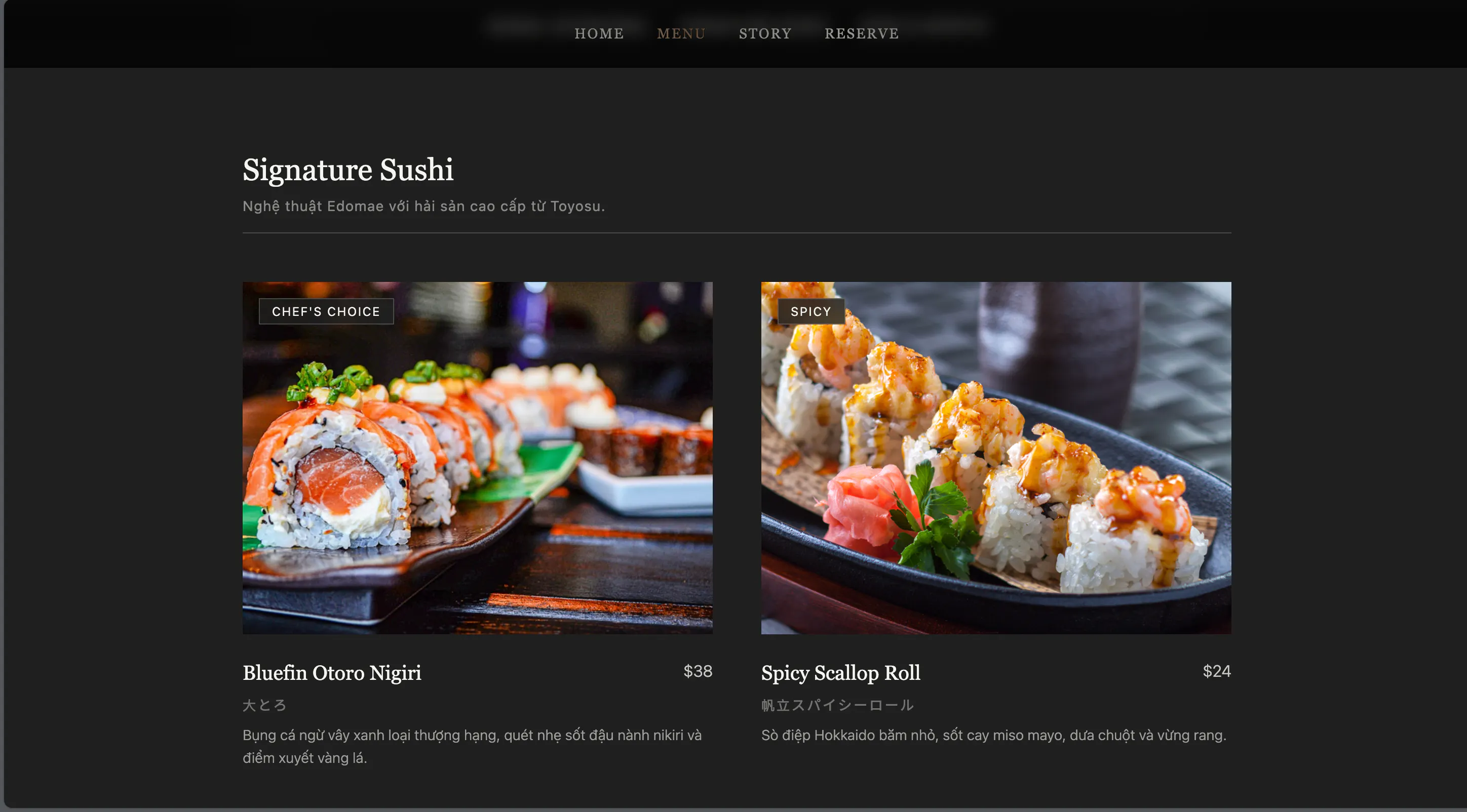 Modern and ready to use websitr template gallery image