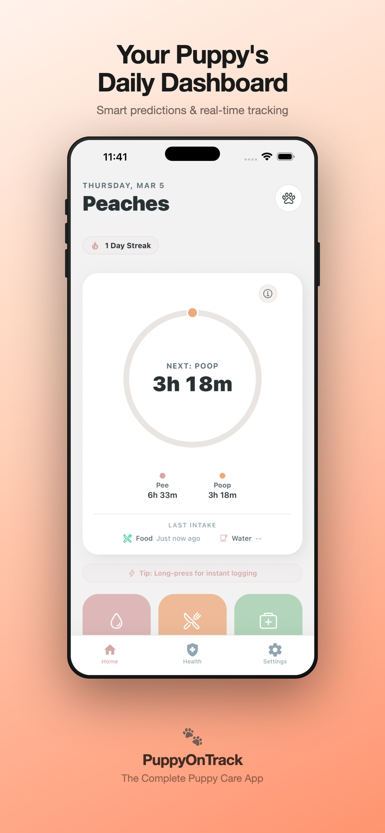 PuppyOnTrack gallery image