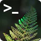 Fern