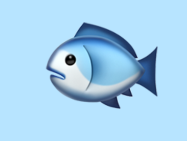 Phishbert gallery image