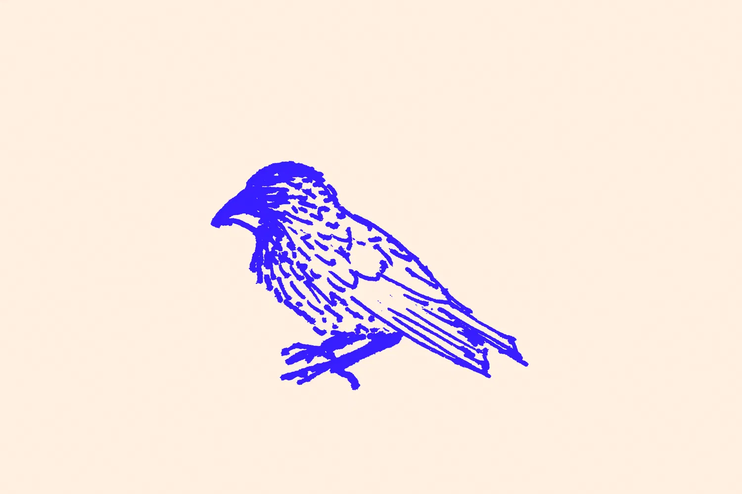 15 Finches