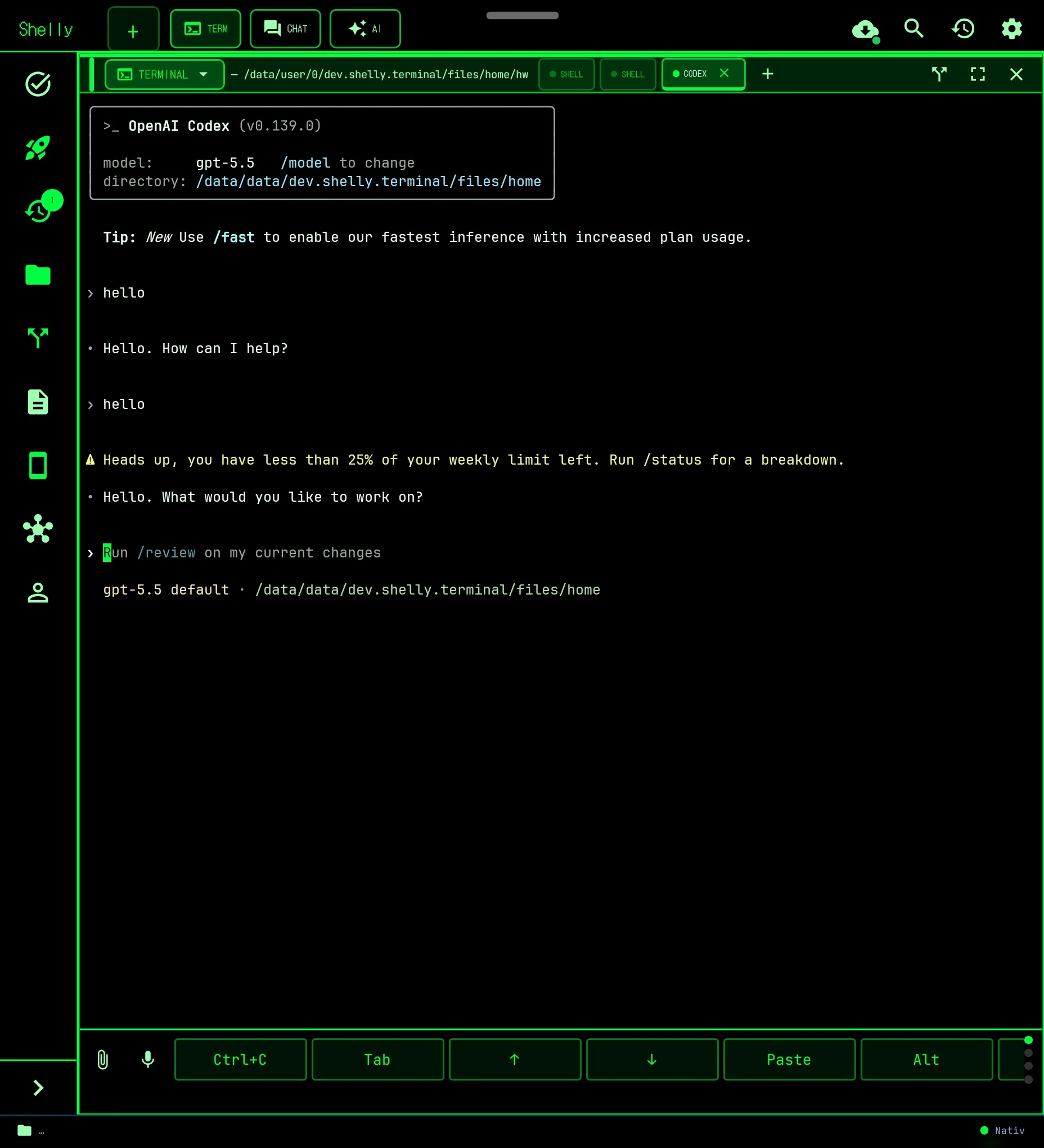 Shelly screenshot 2