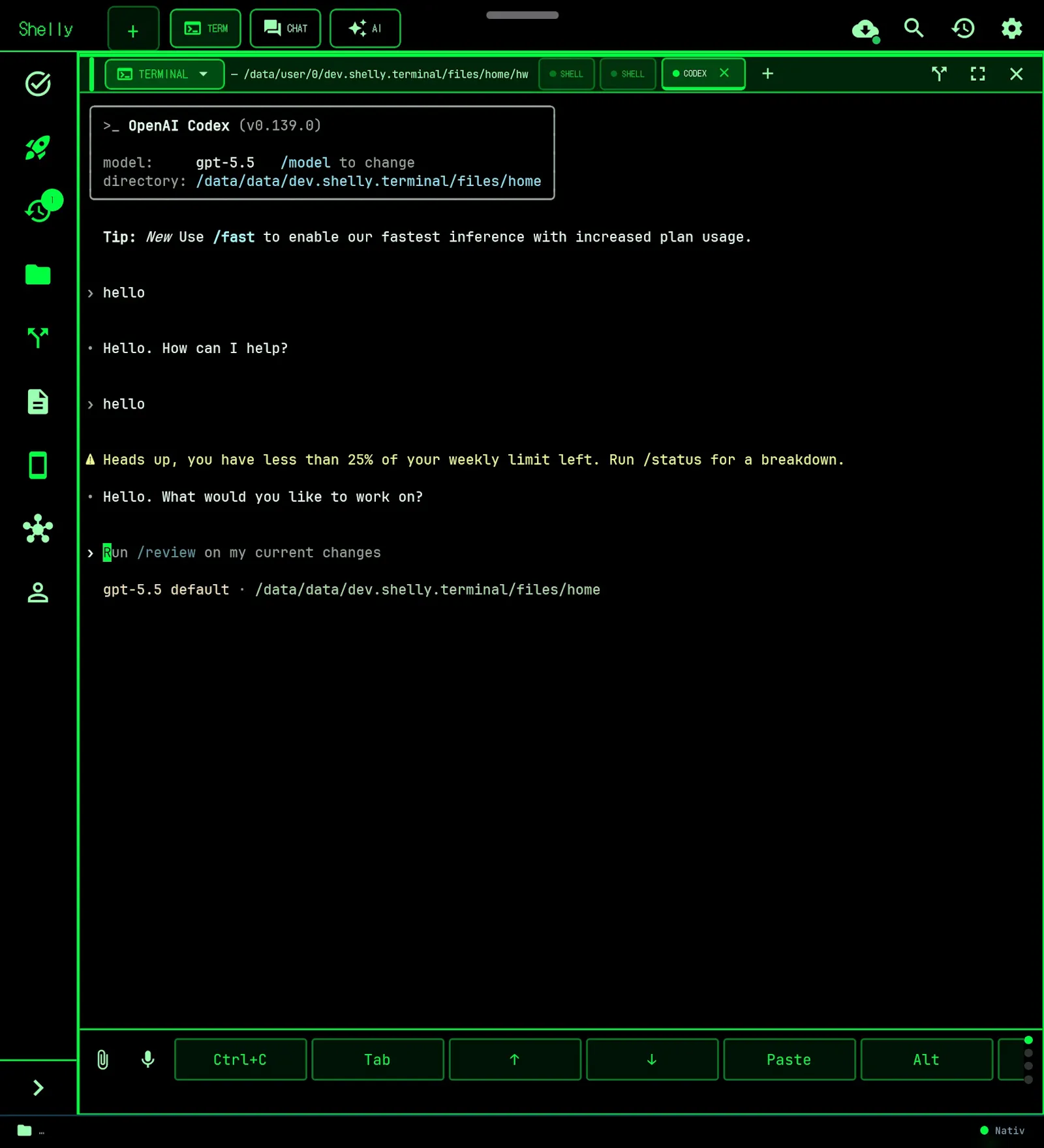 Shelly screenshot 2