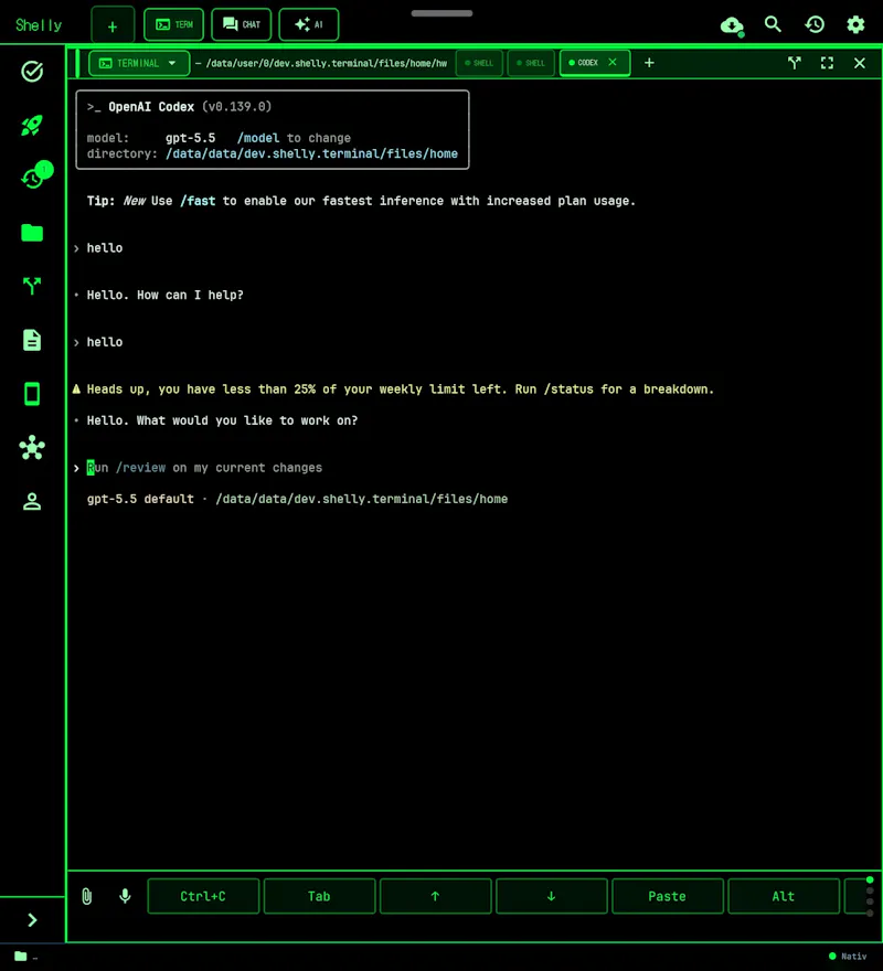 Shelly screenshot 2