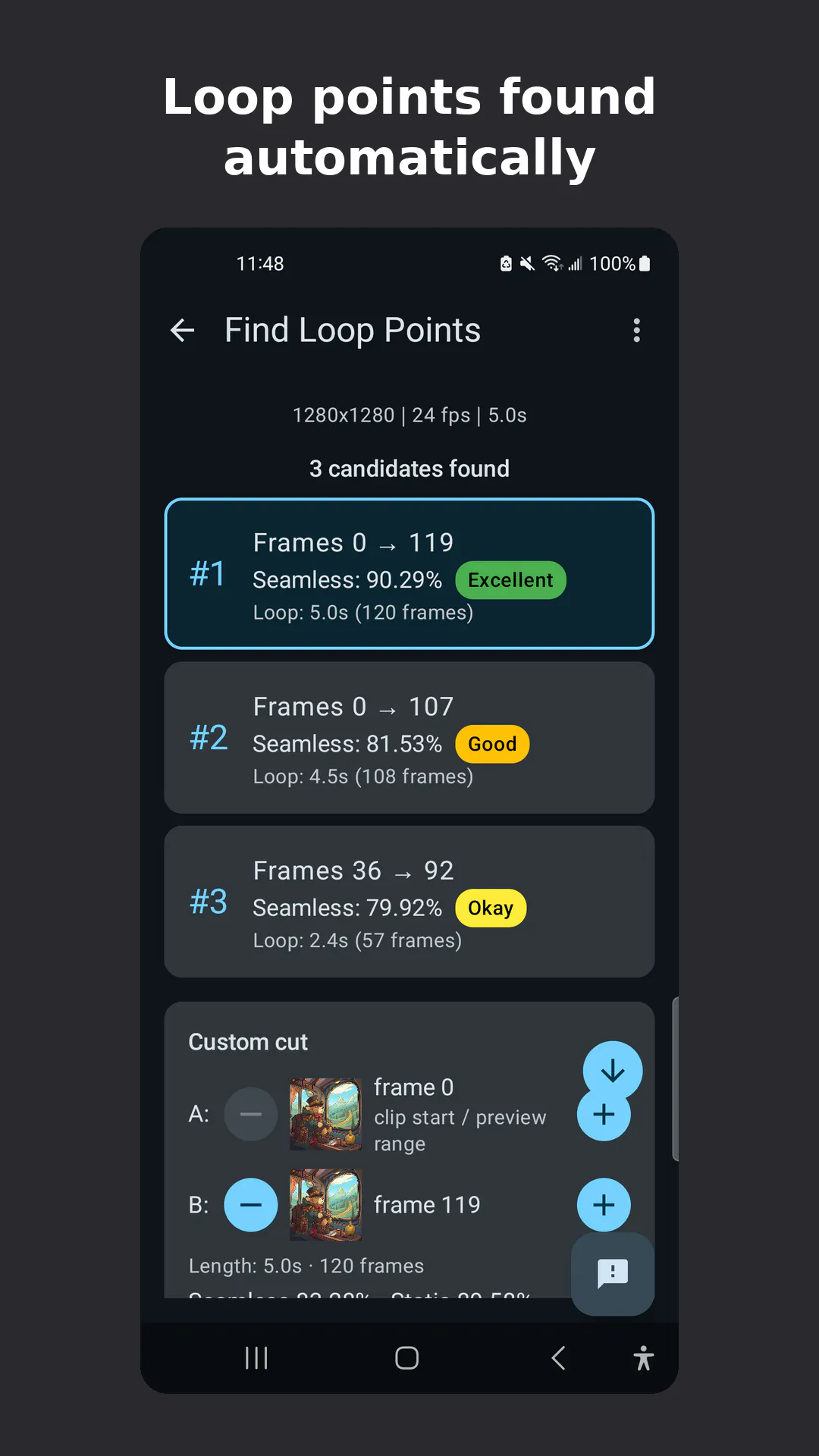 Seamless Video Looper: Offline gallery image