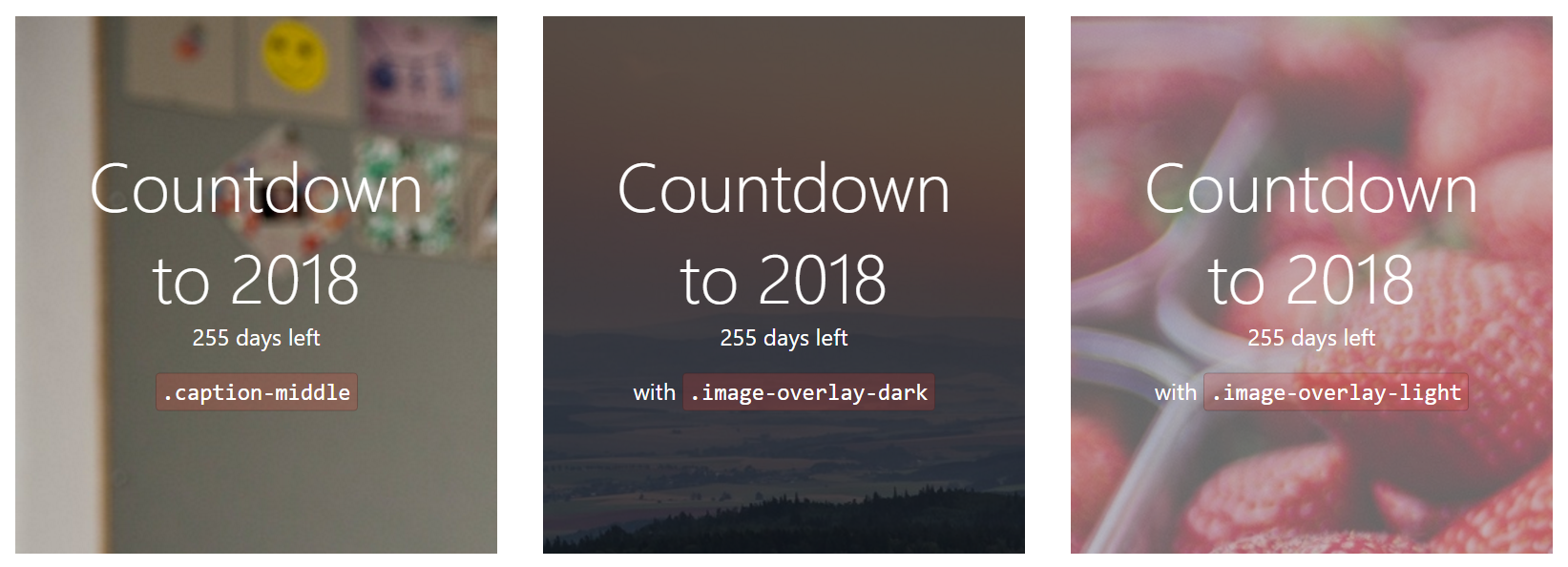 Light CSS gallery image