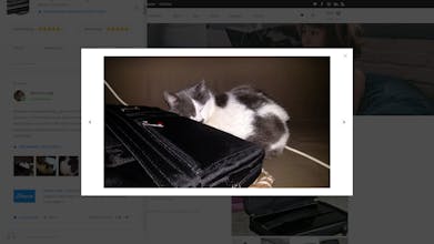 Flippo gallery image