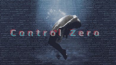 Control Zero gallery image