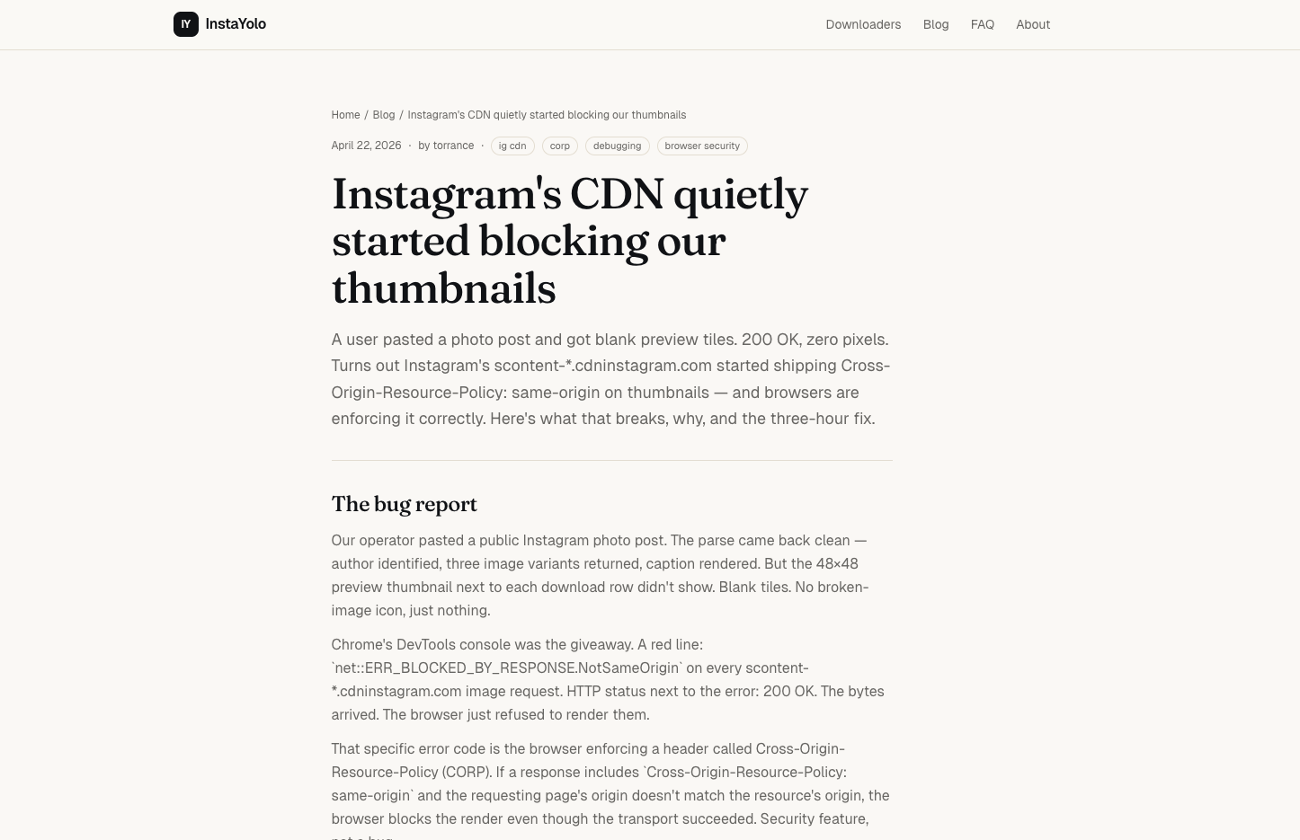 InstaYolo gallery image