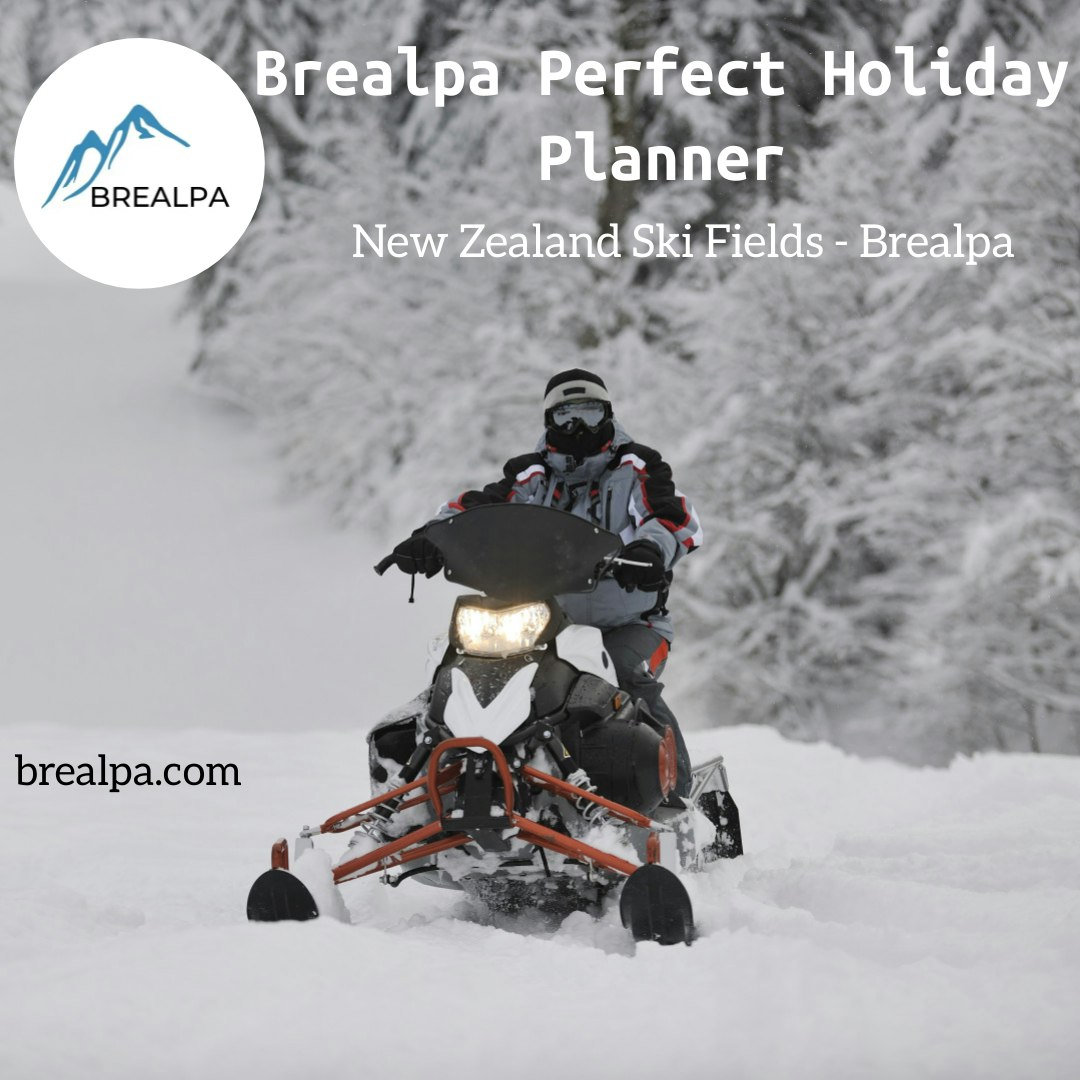 Brealpa Winter Holiday Planner gallery image