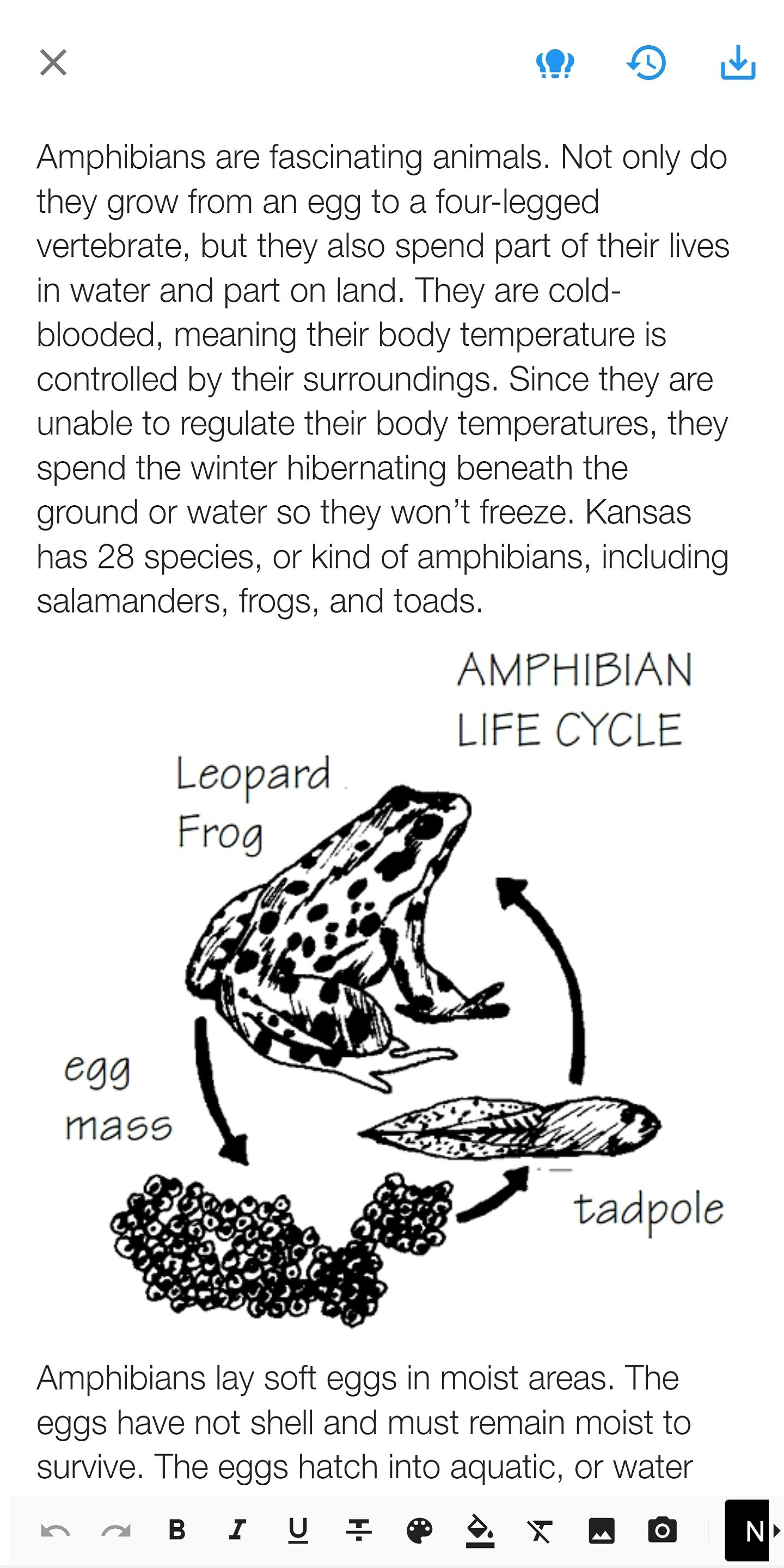 Easy Notebook - Offline Note Taking App gallery image