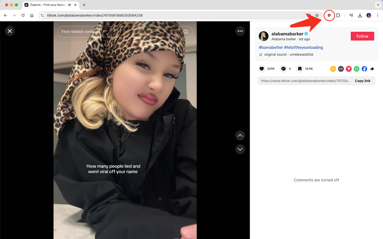 TikTok Downloader gallery image