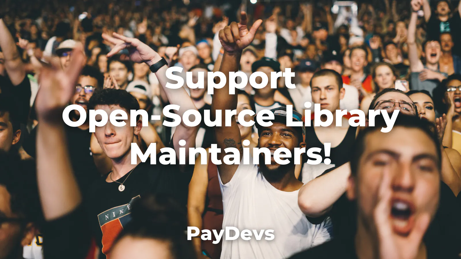 PayDevs gallery image