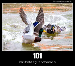 HTTP Status Ducks API gallery image
