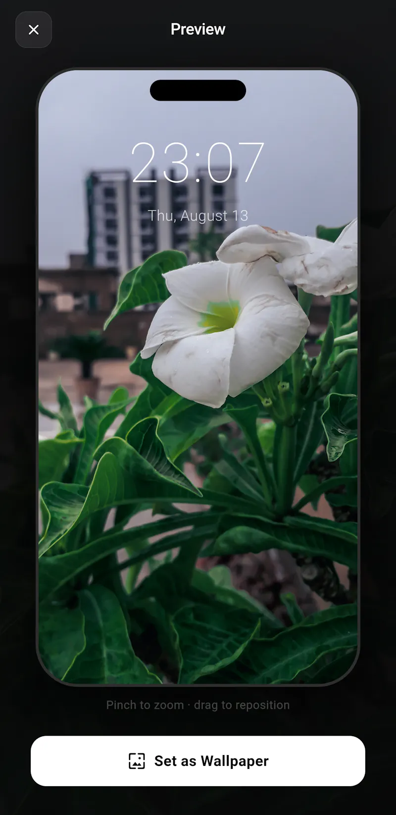 LensLib Wallpapers screenshot 3