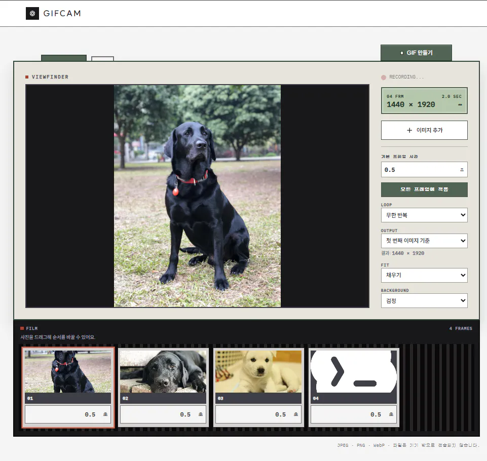 GIFCAM gallery image